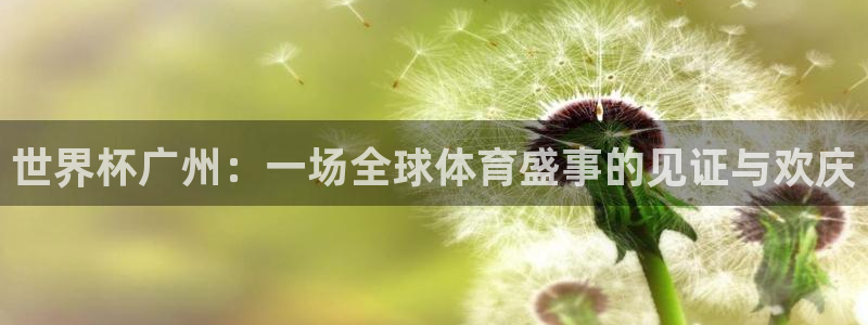 亚洲区世界杯预选赛：世界杯广州：一场全球体育盛事的见证与欢庆