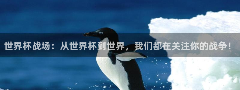 世界杯预赛赛程：世界杯战场：从世界杯到世界，我们都在关注你的战争！