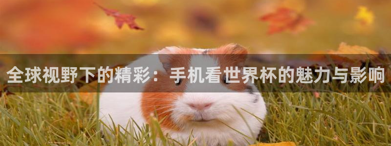 免费足球比赛直播高清：全球视野下的精彩：手机看世界杯的魅力与影响