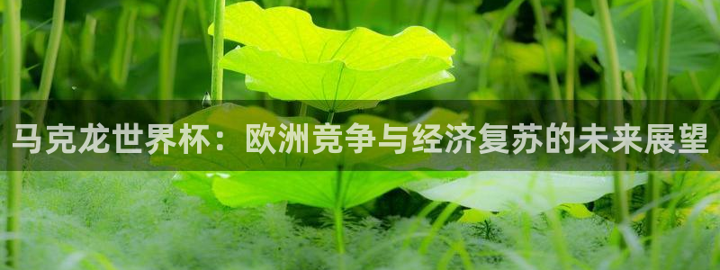 世界杯赛程表：马克龙世界杯：欧洲竞争与经济复苏的未来展望