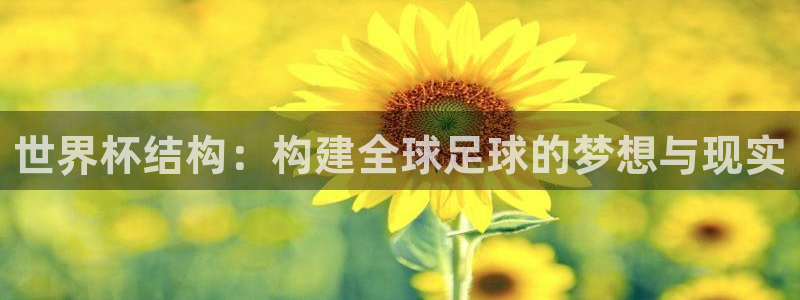 世界杯预选赛赛程表：世界杯结构：构建全球足球的梦想与现实