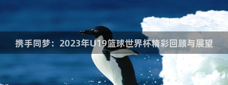 世界杯决赛预测：携手同梦：2023年U19篮球世界杯精彩回顾与展望