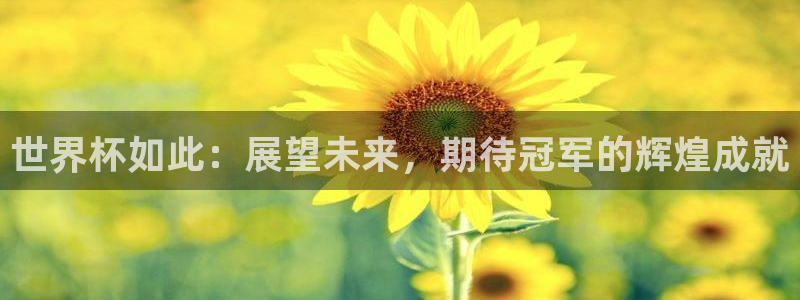 世界杯预选赛亚洲区赛程：世界杯如此：展望未来，期待冠军的辉煌成就