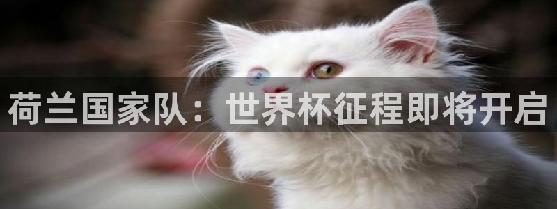 足球世界杯预选赛：荷兰国家队：世界杯征程即将开启