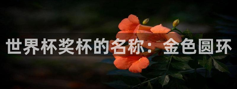 今年的世界杯：世界杯奖杯的名称：金色圆环