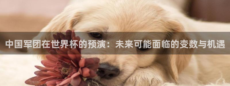 世界杯预选赛欧洲赛区积分榜：中国军团在世界杯的预演：未来可能面临的变数与机遇