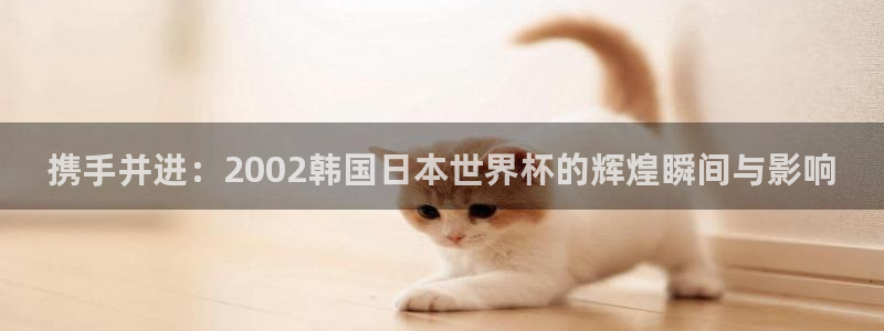 亚洲杯足球：携手并进：2002韩国日本世界杯的辉煌瞬间与影响