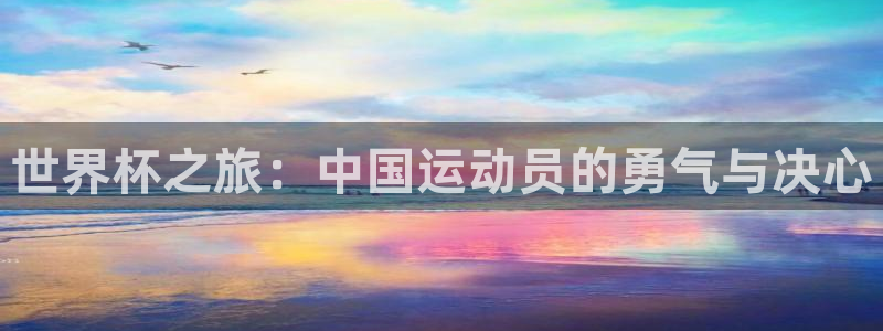 女足世界杯直播：世界杯之旅：中国运动员的勇气与决心